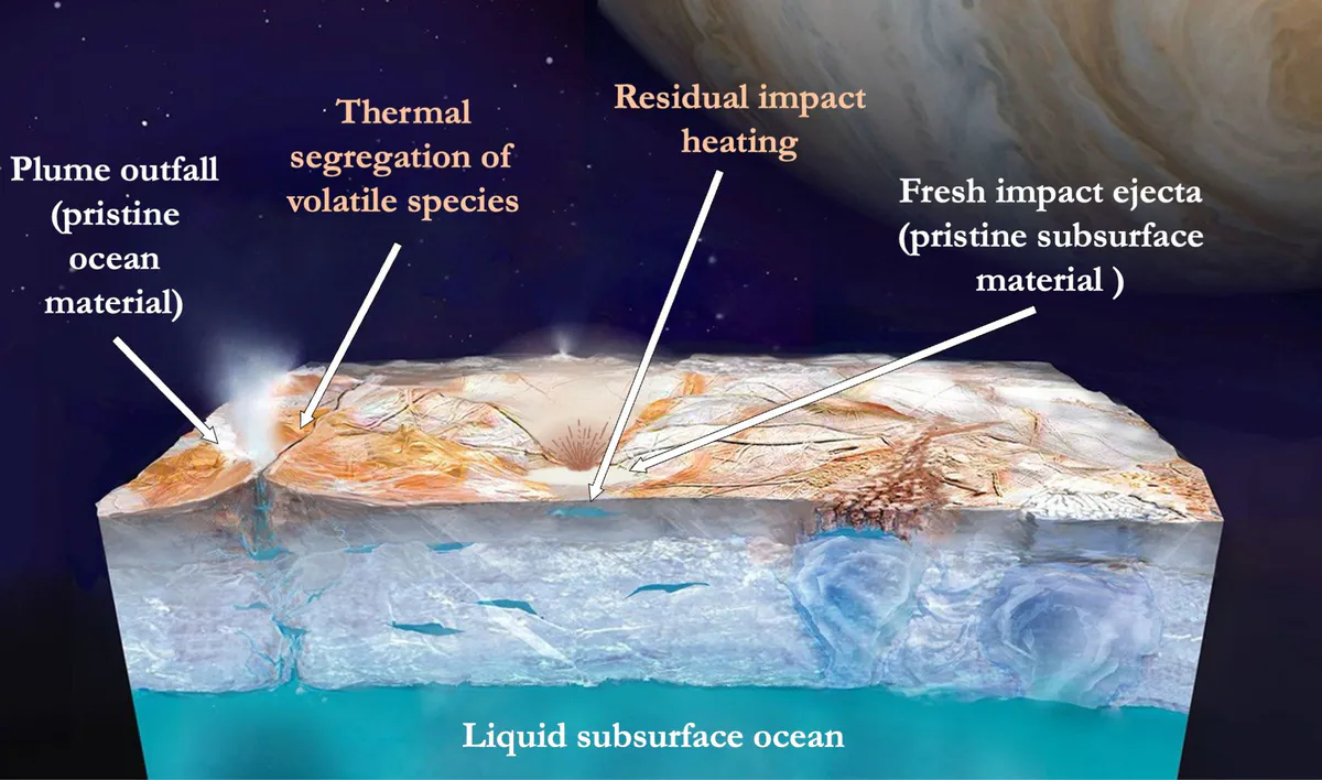 Cutaway diagram of Europa's ice shell showing plume outfall, thermal segregation, residual impact heating and fresh impact ejecta